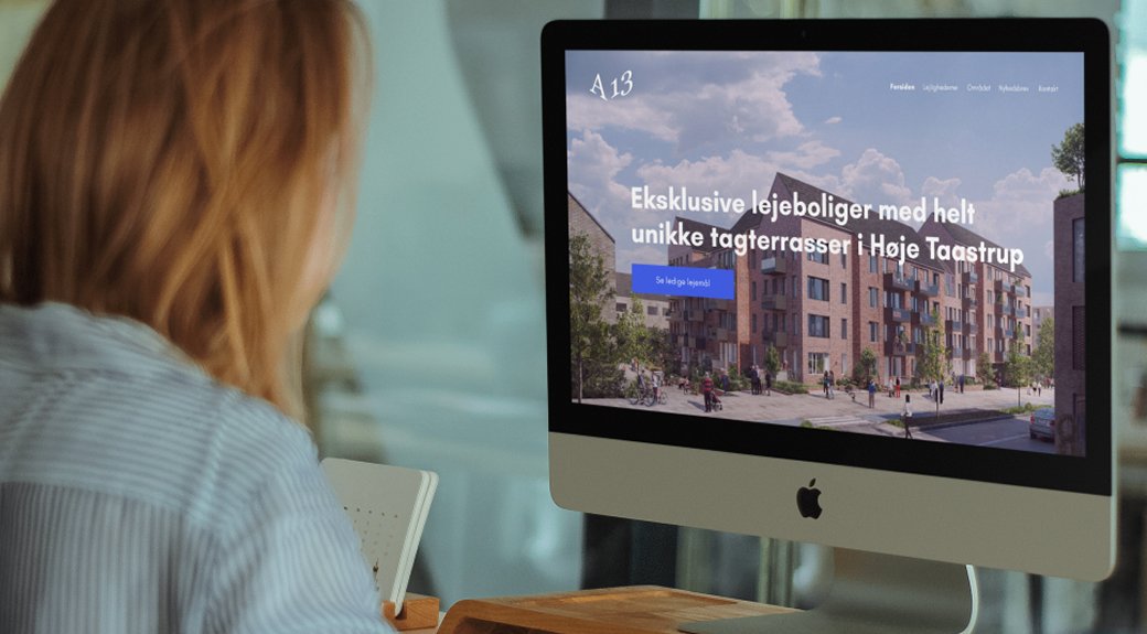 Projektidentitet